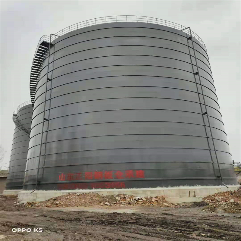 东宁3万吨大型钢板库