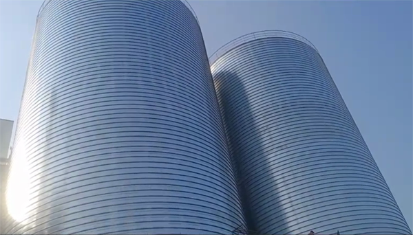 东宁2座混凝土高架卷板仓